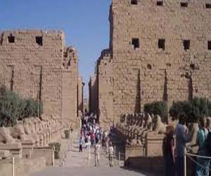   مصر اليوم - الأقصر تستقبل فوجًا سياحيًا بريطانيًا الأحد